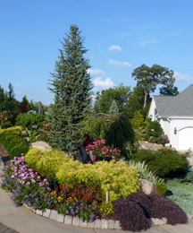 A brightly lit landscape of trees, bushes, and flowers near a house